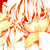 :icontsuki-mi-hikaru: