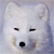 :icontsukihayashi: