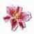 :icontsumaranai-girl: