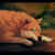 Tsunami13661 :icontsunami13661: