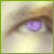 :icontsunamidashirakawa: