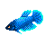 :icontsuryuu:
