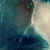 :icontsvetomil: