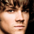 :icontswargelf: