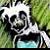 :icontsykcuhs: