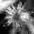 :icontsylvir: