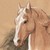 :icontthompson-72: