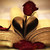 :iconttkove: