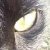 :iconttl-94: