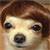 :iconttlycnfsd: