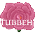:icontubbeh: