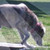tubiONdeROX :icontubionderox: