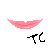 :icontuchico: