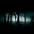 :icontudorrose123: