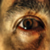 :icontufancakir: