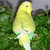 :icontukas11: