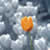:icontuliptulipp: