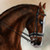 :icontullstorp: