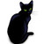:icontungxxx: