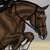 :icontupelo-designs:
