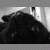 :iconturbidus: