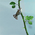 :iconturel-itself: