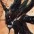 :iconturelhimvampire: