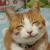 :iconturion91: