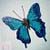 :iconturkishbutterfly: