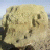 :iconturn-about-the-sun: