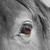 :iconturninburn77: