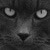 :iconturninginvisible: