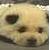 :iconturnip-hat-sweet: