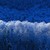 :iconturquoise-hibiscus: