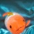 :iconturquoisecats: