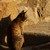 :iconturquoisepapers: