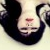 :iconturquoisesky: