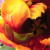 :iconturquoisetelescope: