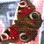 :iconturtle-duck: