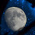 :iconturtle-eclipse: