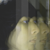 :iconturtle-lady: