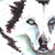 :iconturtle-ray9: