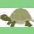 :iconturtlebee: