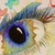 turtlegirl110 :iconturtlegirl110: