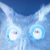 :iconturtleheaddenied: