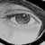 :iconturtleraces: