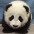 :iconturtlesxpandas: