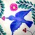 :icontuscards: