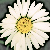 :icontusenskona: