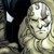 :icontusker012: